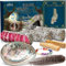 MUOIVG 3 Weißer Salbei Premium, Weisser Salbei räuchern,100% natürlich und reinigend,Palo Santo, Abalone-Muschel, Räucherbündel, ideal für spirituelle und energetische Rituale