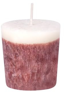 Candle Factory Votivkerzen aus pflanzlichem Stearin, ca. 16h Brennzeit, Duft: Zimtstern