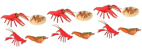 ibasenice 3sätze Lifelike Crayfish Evolution Models Für Kognitive Lernspielzeuge Zur Darstellung des Hummerwachstumszyklus Realistische Figuren Für Unterricht Und Dekoration Teiliges