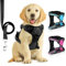 SIBOTER Pettorina Cane Taglia Media/Grande Regolabile, Traspirante Con Guinzaglio, Antifuga per Corsa, Passeggiate, Jogging (S, Nero Scuro)