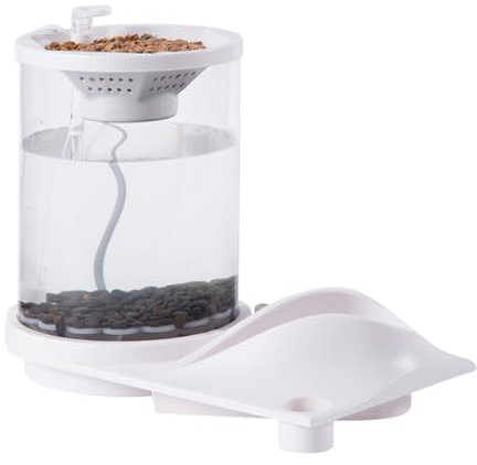 - Reinigung von Betta-Fischtank, leises Fischglas mit Filter, Desktop-Fischbecken für Zuhause, Beta-Fische, Desktop-Fischbecken mit Filter, Aquaponisches Aquarium, transparent, hydroponisches