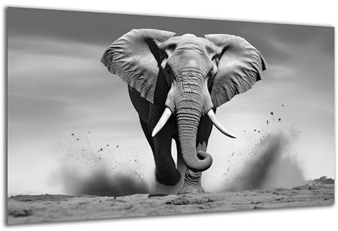 DARO Design - Wand-Bild auf 6mm HDF 84x56 cm Elefant rennt schwarz weiß - Wand-Deko Bilder Geschenk