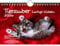 Tierzauber lustige Katzen DIN A5 Kalender für 2026 Lustige Katzen - Seelenzauber