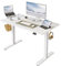 FEZIBO Schreibtisch Höhenverstellbar Elektrisch, 100 x 60 cm Steh-Sitz Tisch, Verstellbarer Stehpult mit Memory-Steuerung, Ergonomischer Computertisch Homeoffice, Weiß