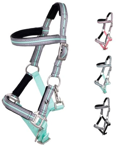 NETPROSHOP Fohlenhalfter Flore mit Stirnband weich gepolstert und verstellbar Falabella Shetty Pony Full, Groesse:Fohlen Falabella, Farbe:Ice Green