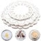 Runde Lace Papierdeckchen Spitze 300 Stück Papier Deckchen ausgehöhlten Weiß Tortenspitze Papier Papiermatten Tischsets ,Kuchen Verpackung Pads für Hochzeiten,Geburtstagsfeier，Geschirrdekoration