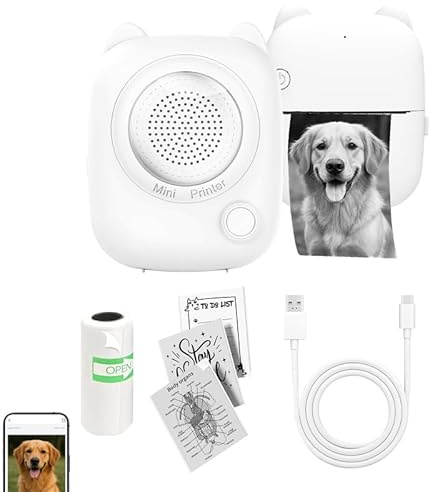 Mini Imprimante Portable,Imprimante Photo Thermique Sans Fil Bt,Imprimante De Poche, Type C, Inkless Printer, Petite Taille Noir Et Blanc Imprimante Pour Diy Photos (1 machine + 1 rouleau de papier)