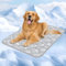 Rywell Kühlmatte für Hunde - Upgarde Entfärbung Waschbar Selbstkühlend Kälte 80×110cm kühlmatte Hund - rutschfest Weich Wasserabsorbierend Geruchlos kühldecke Hund für große Hunde Sommer - XL - Grau