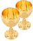 VICASKY 2Pcs Medieval Wine Glass Cup Elegant Royal Goblet with Embossed Flower Design for Home Decor Viking Props and Ceremonial Use Sturdy Resistant Chalice