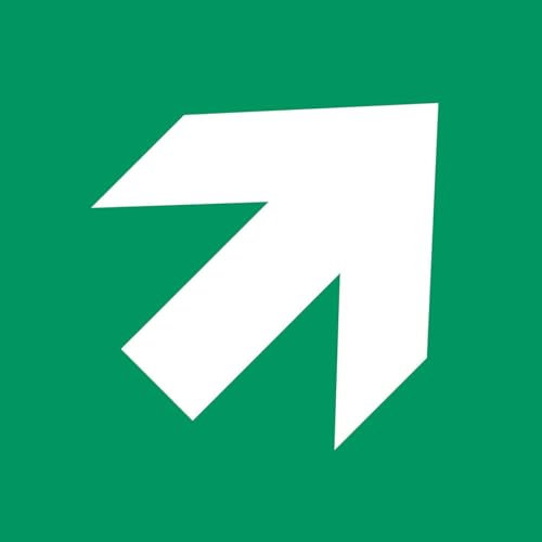 No Brand 090-2345-081 Sign Arrow 45°