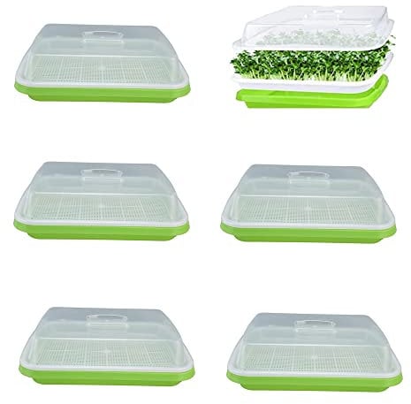 6 Pezzi Vassoi per la Germinazione Dei Semi con Coperchio,Seed Sprouter Vassoio,32cm x 26cm,Per Conservare Germogli, Piselli, Semi Di Songliu, Piselli Neri