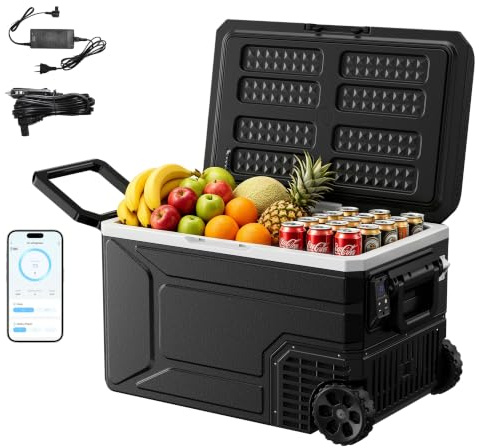 EUHOMY 65L Car Fridge, Electric Cool Box with APP Control, 12V/24V DC & 100~240V AC Camping Fridge, Portable Freezer with Wheels for Truck/RV/Camping/Travel, -20℃ to 20℃