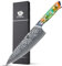 WILDMOK Coltello da Chef 20,5cm Super Acciaio 67 Strati Damasco Affilato, Manico in Resina Mix Verde e Arancio Codolo Pieno, Finitura Martellata