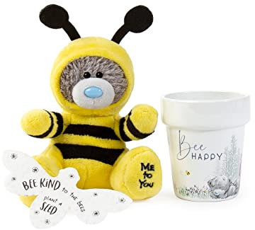 Me To You AGZ01144 Bee gift set, 10 x 22.5 x 15.5 centimetres, Yellow