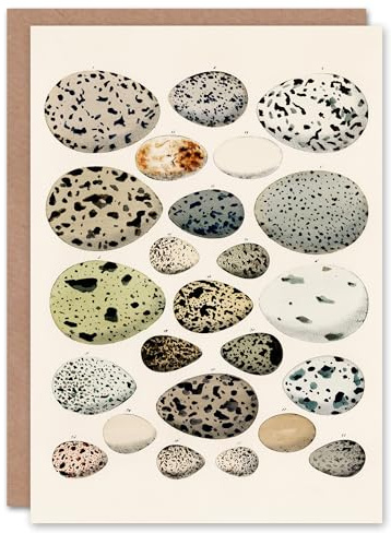 Artery8 Lorenz Oken Art Card Different Species Bird Eggs