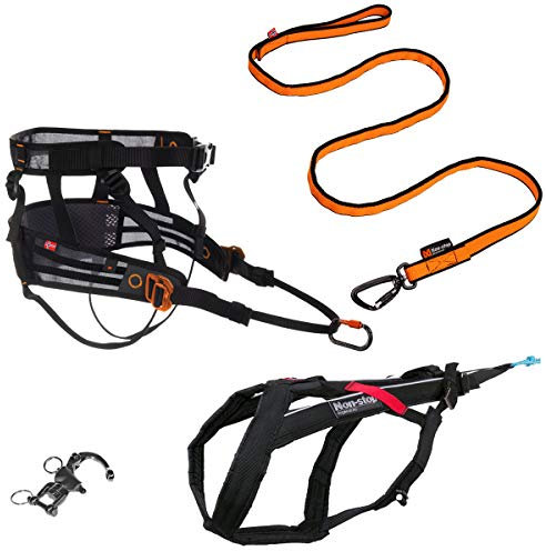 Non-stop dogwear Canicross Komplett-Set | PanikSnap, Bungee Leash 2m, CaniX Belt Größe:M, Zugeschirr Größe:3