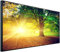 Ecowelle Infrarotheizung mit Bild | 750 Watt | 60x120 cm | Infrarot Heizung| | Made in Germany| d 39 Sonnenaufgang mit Baum