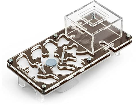 AntHouse - Formicaio acrilico - Kit educativo funghi 10x20x1,3 cm - Marrone - Formiche gratis