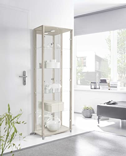 möbelando Vitrine Glasvitrine Standvitrine Vitrinenschrank Berlin V Sonoma-Eiche