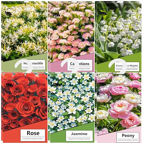 12pcs Wäscheduft Schrank Duftsäckchen Kleiderschrank Dufterfrischer, Schrankduft Frische, Duftbeutel Kleiderschrank Duft Hanging Beutel, Schrankdeo Natürlichen Geruch Sachet (12multi)