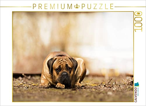 CALVENDO Puzzle Ivor | 1000 Teile Lege-Größe 64 x 48 cm Foto-Puzzle für glückliche Stunden