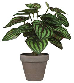 Mica decorations Peperomia Kunstpflanze im Blumentopf Stan - H24 x Ø23 cm - Grün
