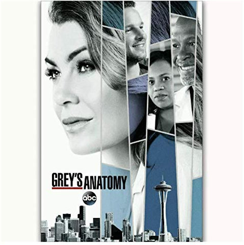 RUIYANMQ Leinwanddruck Bild Grey's Anatomy 2017 Staffel 14 Ellen Art Poster Wanddekoration Geschenk Jz115Yc 40X60Cm Rahmenlos