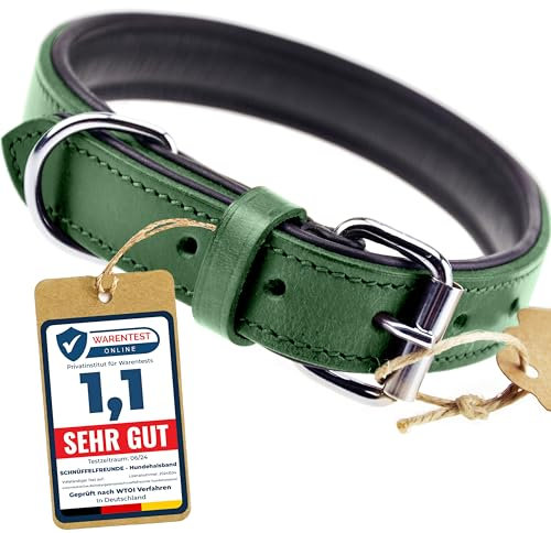 Schnüffelfreunde Halsband für Hunde aus Leder, Hundehalsband für den großen, mittleren und kleinen Hund, Lederhalsband gepolstert, robust (XXL - 55-65cm, Grün)