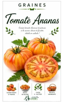 100 graines de tomate ananas