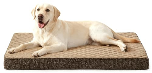JOEJOY Orthopädisches Hundebett Grosse Hunde,XL Hundekissen Waschbar Flauschig Hundematte, Hundematratze für Große Hunde, rutschfeste Unterseite, 104x69x9.5cm