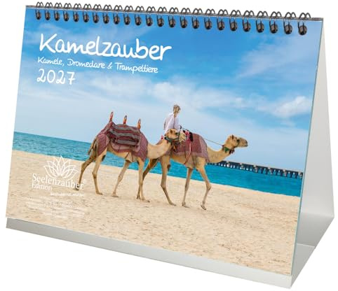 Tierzauber Kamele Dromedare Trampeltiere DIN A5 Wüste Afrika Kalender für 2027 - Seelenzauber