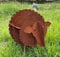 STEINFIGURENWELT GIEBEN Edelrost 3D Schaf witzig 50x45x70cm zum Bepflanzen Rost Blumentopf Windlicht Edelrost Gartendeko