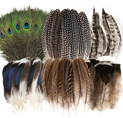 MWOOT 48 st naturliga fjädrar för hantverk och konst, 6 stilar, påfågel-, fasan-, kalkon- och ankfjädrar, storpack för gör-det-själv-kostymer, smycken, hatt, bröllop, fest, halloweendekoration