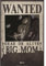 ABYSTYLE - ONE PIECE Poster Wanted Big Mom (52x35)
