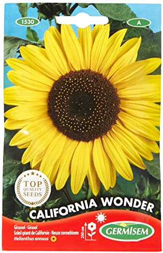 Germisem California Wonder Semillas de Girasol 4 g, EC1530