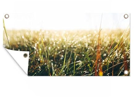 MuchoWow Outdoor-Poster Poster Wanddeko draußen Deko Garten Gartenposter 160x80 cm Rasenfläche - Pampasgras