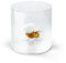 WD Lifestyle Bicchiere in vetro borosilicato. Capacità 250 ml. Decoro ape.