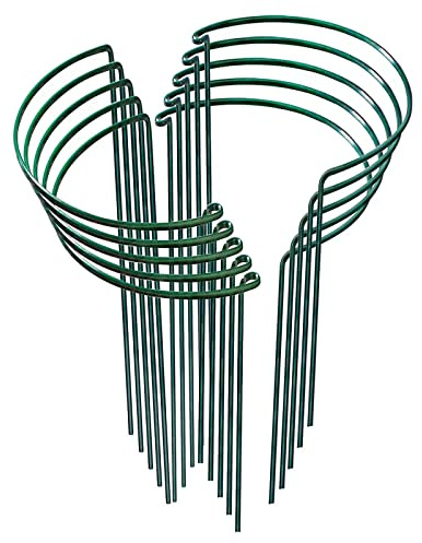 Plant Support Stakes,10Pack Green Metal Garden Plant Stake