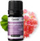 Rosengeranie Öl Naturrein - Ätherisches Öl - Therapeutische Qualität – Rosengeranie Öl für Aromatherapie, Aromadiffuser - Aus der Apotheke - 5 ml