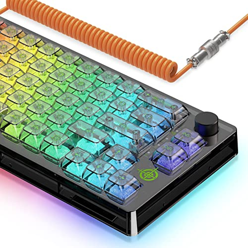 65% Hot-Swapped Wired Mechanical Gaming Keyboard with Coiled Cable-Black | Transparent 66 Key,Full Side RGB,OWERTY,TKL,Linear Ice White Switch,Multimedia Knob,Programmable,2-IN-1 Case for WIN/PC/MAC