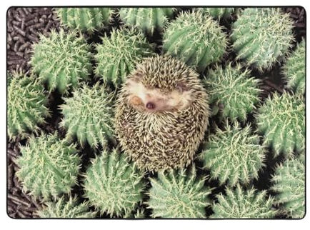 EdWal Großer Teppich mit Igel-Kaktusdruck, Flanellmatte, für den Innenbereich, für Nachttisch, Esszimmer, Dekoration, 203 x 148 cm