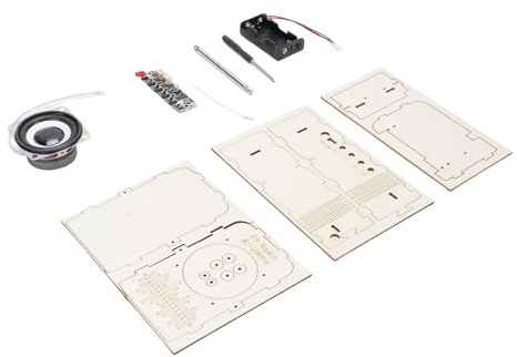 FILFEEL DIY-FM-Radio-Bausatz aus Holz – Pädagogisches STEM-Lernspielzeug für Elektronik- und Bauprojekte zur Förderung technischer Fähigkeiten