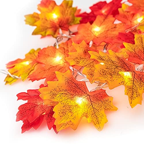 Ventvinal Ahornblätter Lichterketten,20 LED Herbst-Girlande Lichtern 3AA batteriebetrieben Blättergirlande Dekoration für Party,Weihnachtsbeleuchtung,Erntedankfest