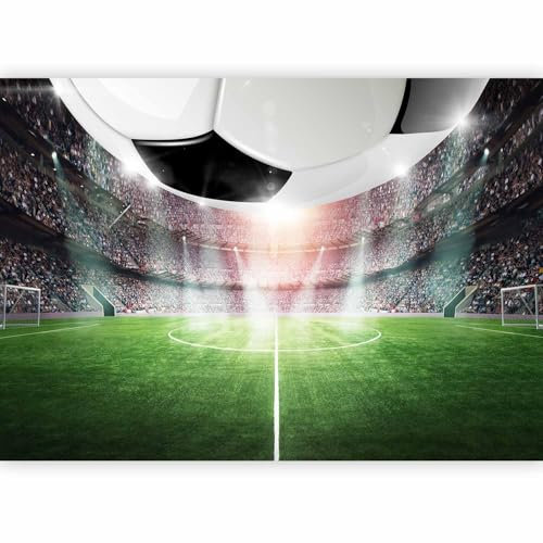 murando - Papier peint panoramique inspirant 350x256 cm - Revêtement mural décoration pour chambre salon cuisine - Design unique et moderne - Gris vert - Stade de football i-C-10044-a-a