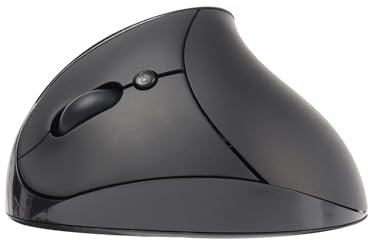 Tynerza Souris Ergonomique Verticale sans Fil Rechargeable 6 Boutons, Souris Optique et Portable sans Fil avec récepteur USB pour PC, Ordinateur, Ordinateur Portable, pour la Main Gauche (Noir)