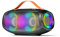 Bluetooth Speaker, Portable Wireless Outdoor Speaker with LED Light, True Wireless Stereo, AUX, Micro SD/TF Card Slot, USB playback, LED Light, EQ for Party Outdoor