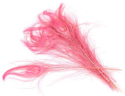 10 echte Pfauenfedern ca. 25-30cm (rosa 148) // Pfau Federn Natur Auge Deko Pfauenaugen Schmuck