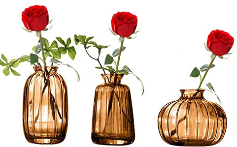 3pcs Vase à Fleurs Verre Brun, Mini Vase decoratif Design Transparent, Décoration pour Centre de Table Mariage champetre Boheme, Bapteme, Anniversaire, Cadeau fête des mères