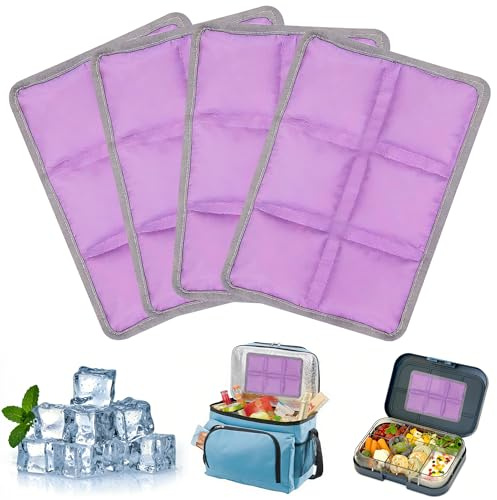 LQTSLFM Poche de Glace en Gel Reutilisable, 4 Pièces Poche de Glace pour Glacière, Blocs Réfrigérants pour Boîtes à Déjeuner, Pain de Glaces pour Sac Isotherme, pour Voyages, École, Camping