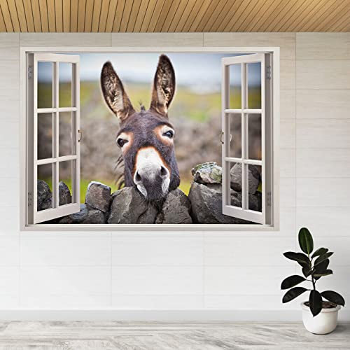 Wanddeko Ein Schöner Esel Unter Dem Regen 3D Fensteransicht Wandaufkleber Poster Aufkleber A851 55x80cm